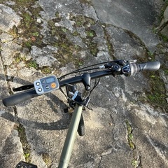 パナソニックBE-FW071G マットオリーブの画像