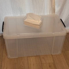 大型 衣類 収納 ケースの画像