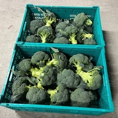 無人販売 - 松阪市