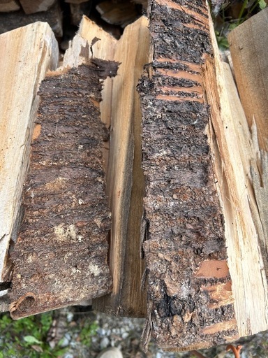 薪値下げ　ストーブ　キャンプ軽トラ1台分