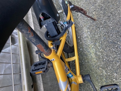 ARMS 子供用自転車 ゴールド22