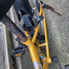 ARMS 子供用自転車 ゴールド22の画像