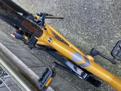 ARMS 子供用自転車 ゴールド22