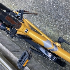 ARMS 子供用自転車 ゴールド22の画像