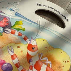 【ハワイ購入品】Hawaii 触って、見る絵本の画像