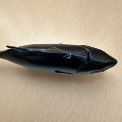 解体魚フィギュア☆マグロの画像