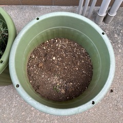 菜園ポットと園芸用土の画像
