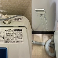 Haier 洗濯機 ハイアール JW-K50K 2016年製造 中古の画像