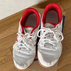 asicsバレーボールレディースシューズ23.5センチの画像