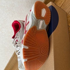 asicsバレーボールレディースシューズ23.5センチの画像