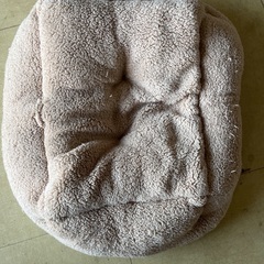 ペット用ソファベッドの画像