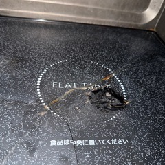 パナソニック オーブンレンジ エレック NE-MS267-K の画像