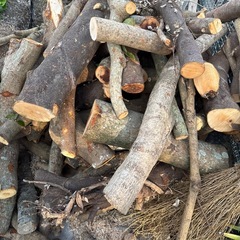 館山/南房総一年以上乾燥薪🪵！、針葉樹/広葉樹。の画像