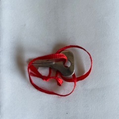 カメラバックの画像