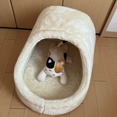 差し上げます　犬猫ベッドと食器の画像