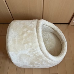 差し上げます　犬猫ベッドと食器の画像