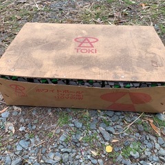 電球　ただいま取り引き中の画像