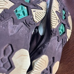 ジュニアスニーカー21センチの画像