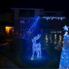 イルミネーションの画像