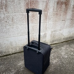 キャリーバッグの画像