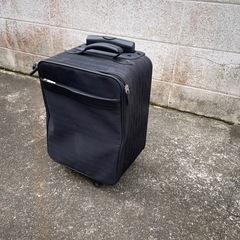 キャリーバッグの画像