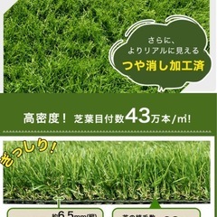 DIY     　人工芝の画像