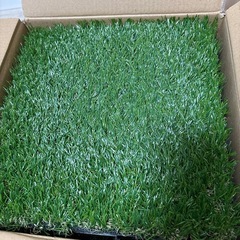 DIY     　人工芝の画像