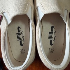 (代)LastingBullの画像