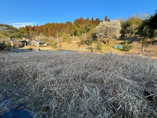 売土地　国分　隠れ家　資材置き場向き