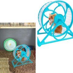 小動物用/回し車（新品）の画像