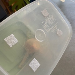 ペット　フードボール　フードストッカーの画像