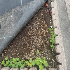 残土持って行って欲しいです。の画像