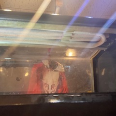 ホシザキのネタケースの画像