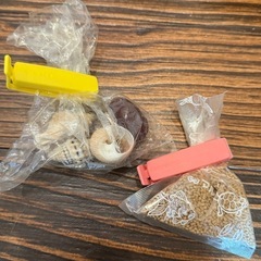 ヤドカリ　飼育セットの画像