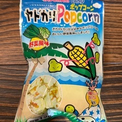 ヤドカリ　飼育セットの画像