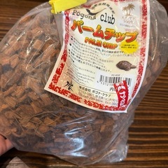 ヤドカリ　飼育セットの画像