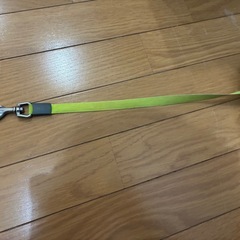 ペット リール　8mの画像