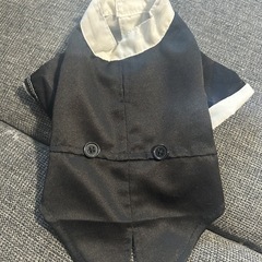 犬用　服の画像