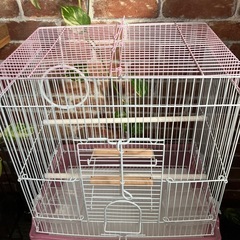 セキセイインコの鳥かご②の画像