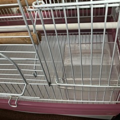 セキセイインコの鳥かご①の画像