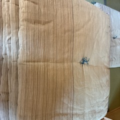 座布団10枚セットの画像