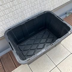 【無料】メダカ　水槽の画像