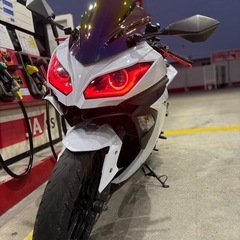 ninja 
ex250lの画像
