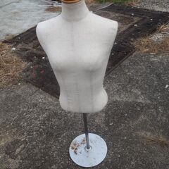 トルソー、マネキン、台付き、レディー、３５ｘ２２ｘ８０の画像