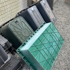 【無料】メダカ　水槽の画像