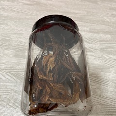 焼きスルメあしの画像