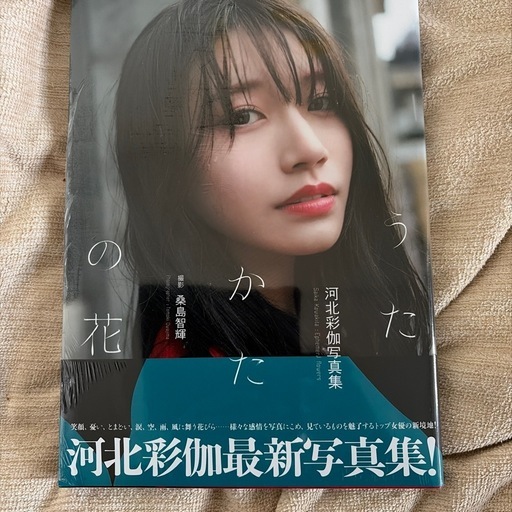 河北彩伽 新品 シュリンク有り