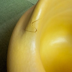 バンボ　黄色の画像