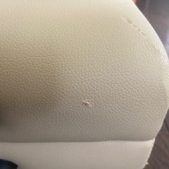 施術用折りたたみベッドの画像