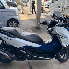 フォルツァMF13の画像